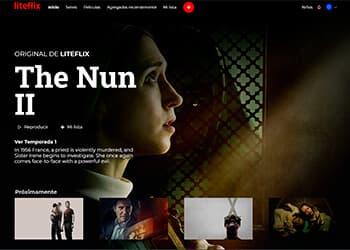 Netflix — project screenshot